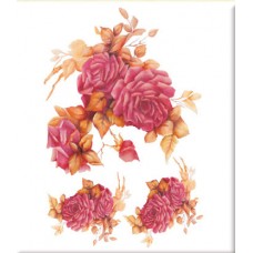 Hartie de transfer rapid- Rich 